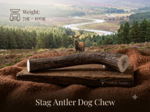 stag antler dog chew